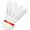 shuttlecock
